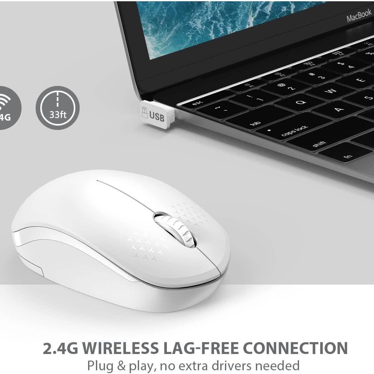 Seenda Kabellose Maus, 2.4G Geräuschlose Maus mit USB-Empfänger, tragbar