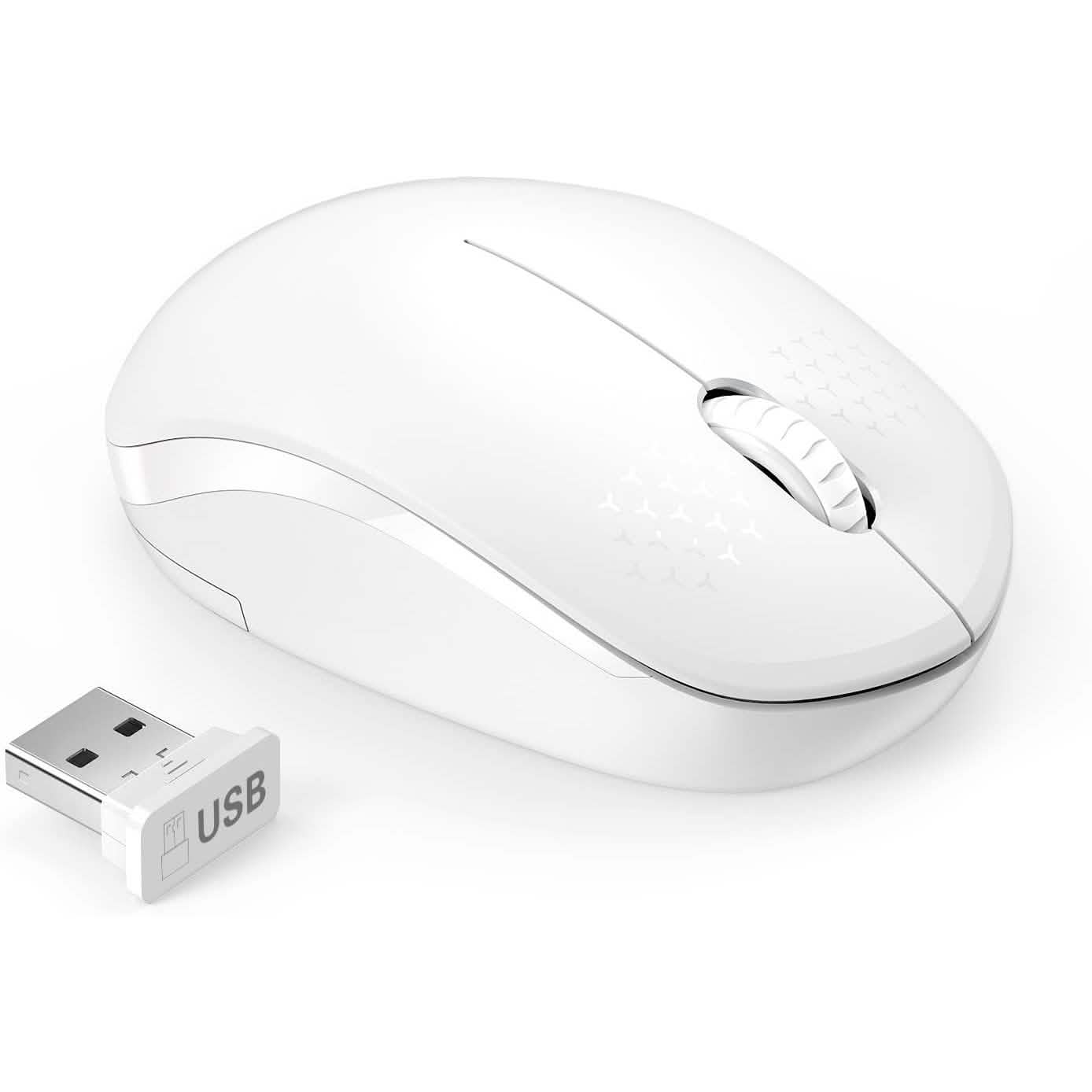 Seenda Kabellose Maus, 2.4G Geräuschlose Maus mit USB-Empfänger, tragbar
