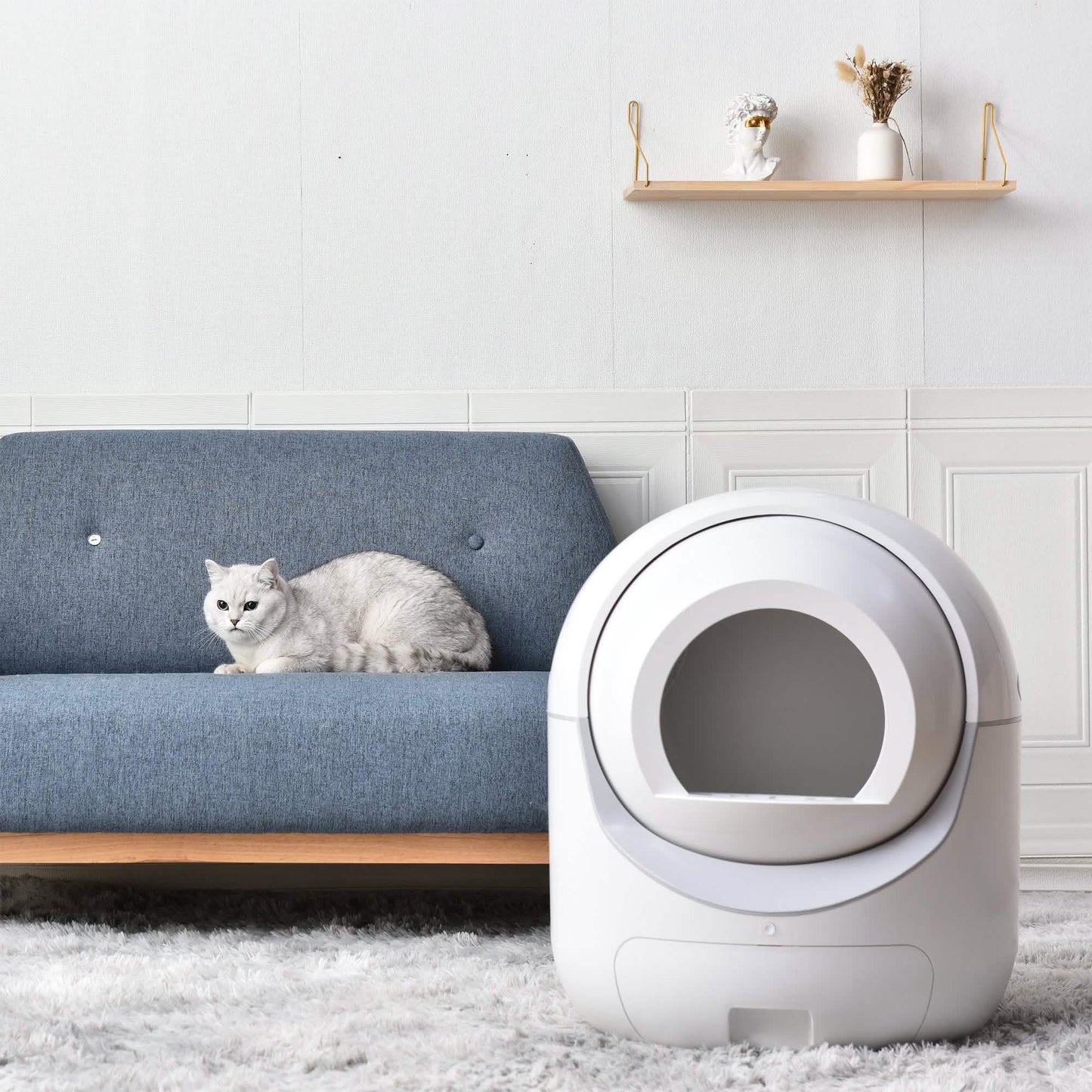 Intelligente automatische Katzentoilette, selbstreinigende Katzentoilette für mehrere Katzen