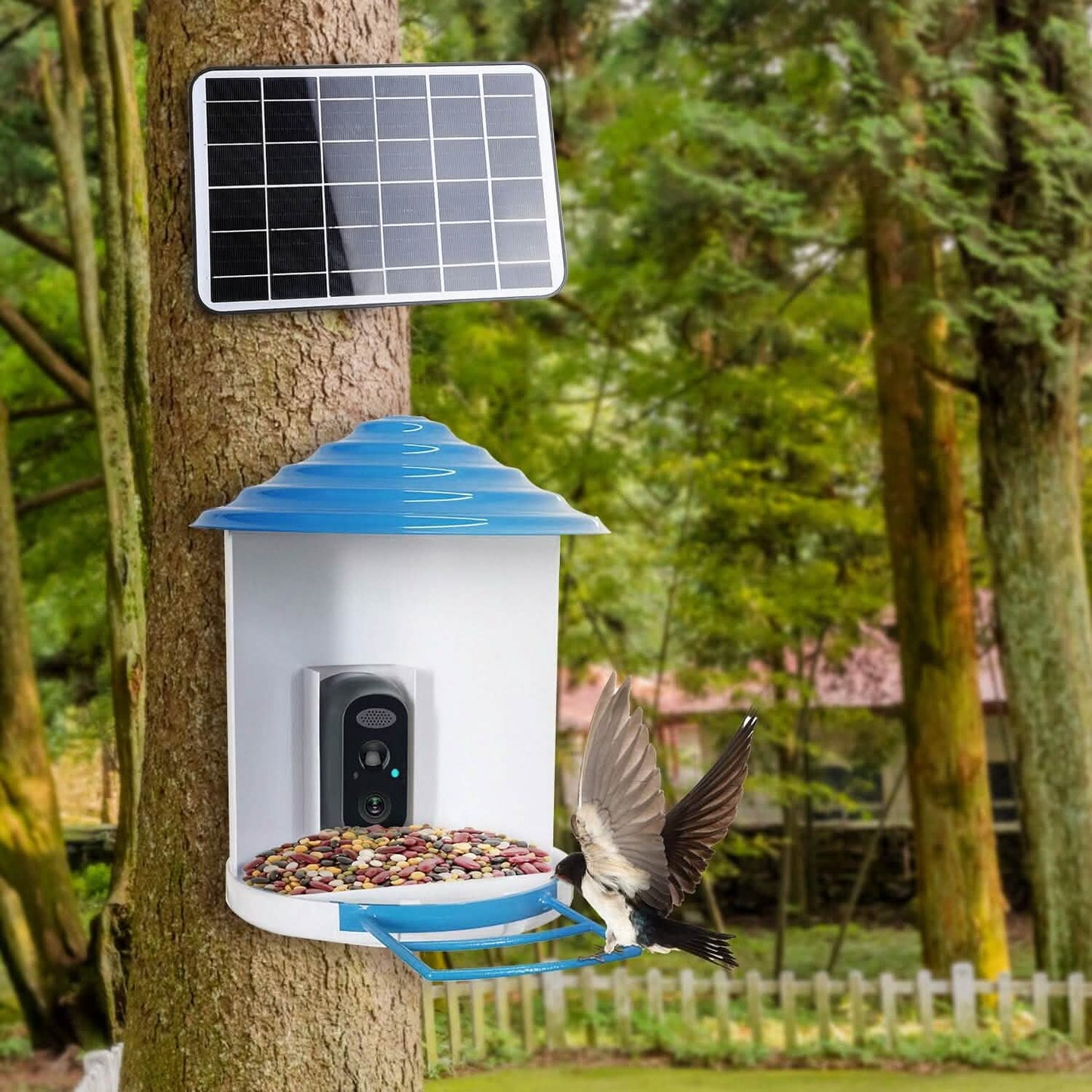 Smarte Vogeltränke mit solarbetriebener 1080P HD Kamera, KI-Identifikation, PIR
