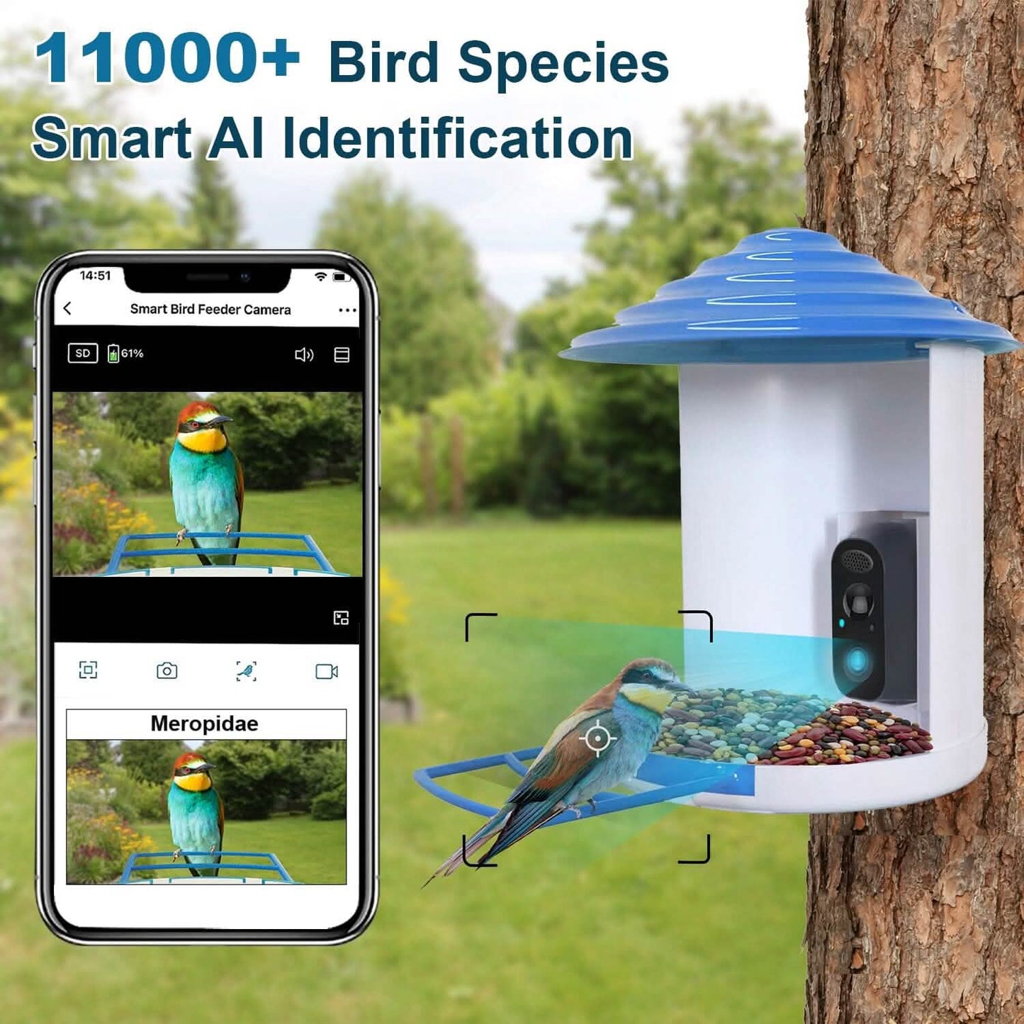Smarte Vogeltränke mit solarbetriebener 1080P HD Kamera, KI-Identifikation, PIR