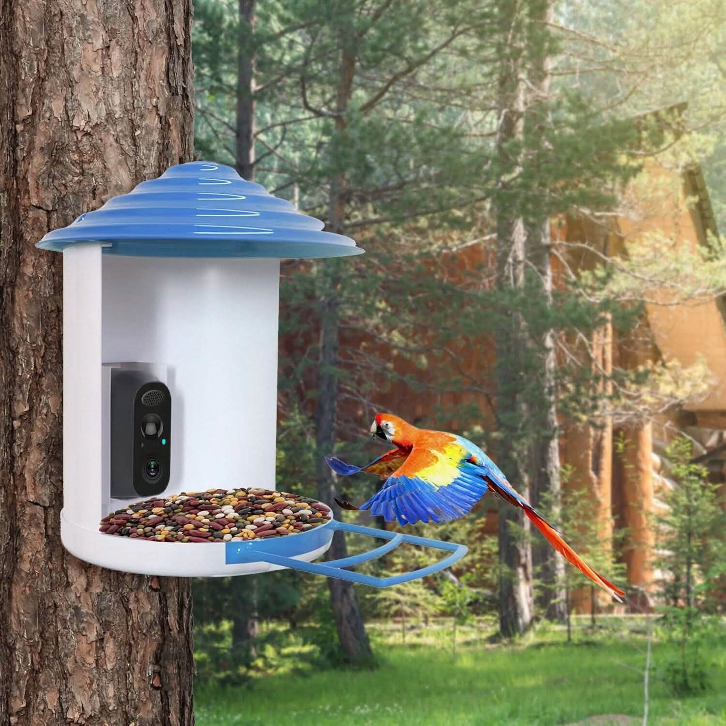 Smarte Vogeltränke mit solarbetriebener 1080P HD Kamera, KI-Identifikation, PIR