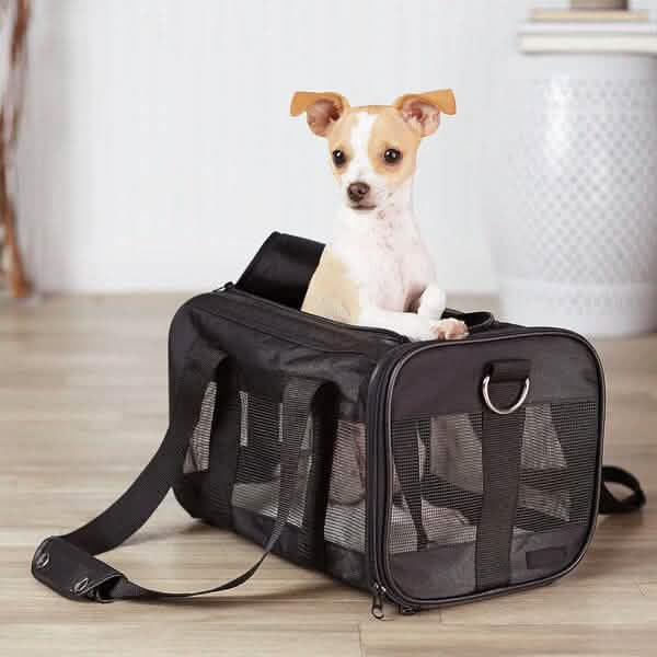 Transporttasche für Haustiere mit weicher Seitenwand aus Mesh-Gewebe