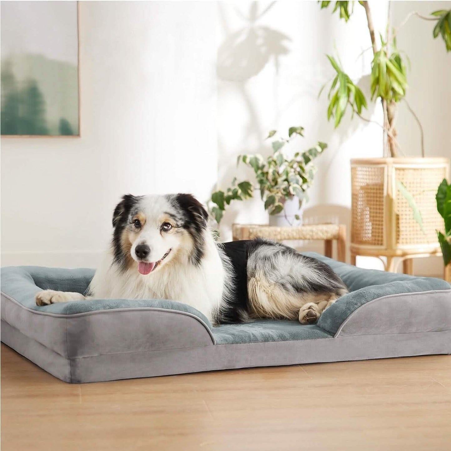 Weiches, warmes Plüsch-Hundebett, gemütliches Sofa, rutschfestes Kissen