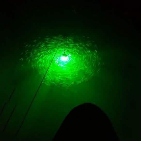 Sunbeam LED-Angellicht