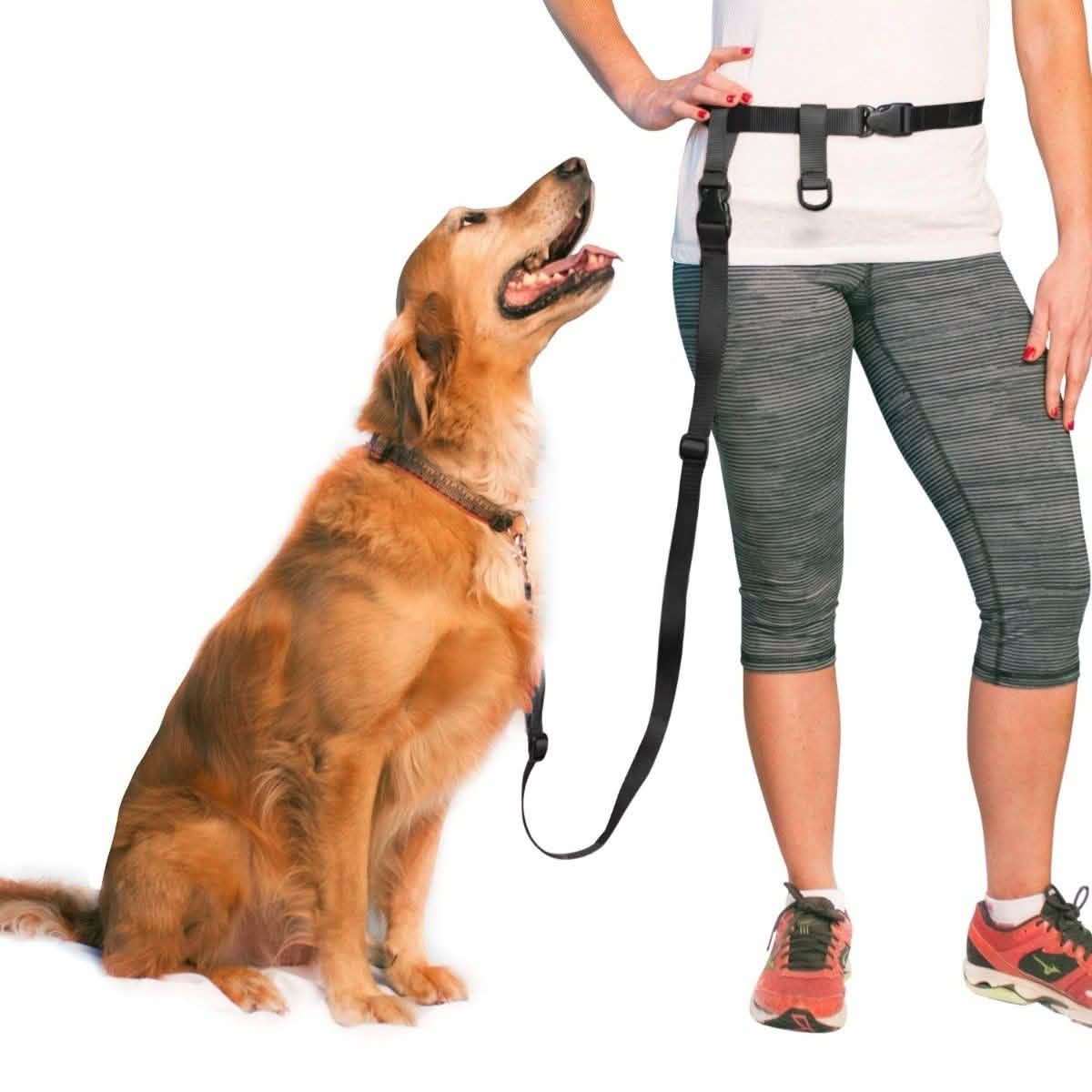 The Buddy System Verstellbare Hundeleine für freihändiges Führen