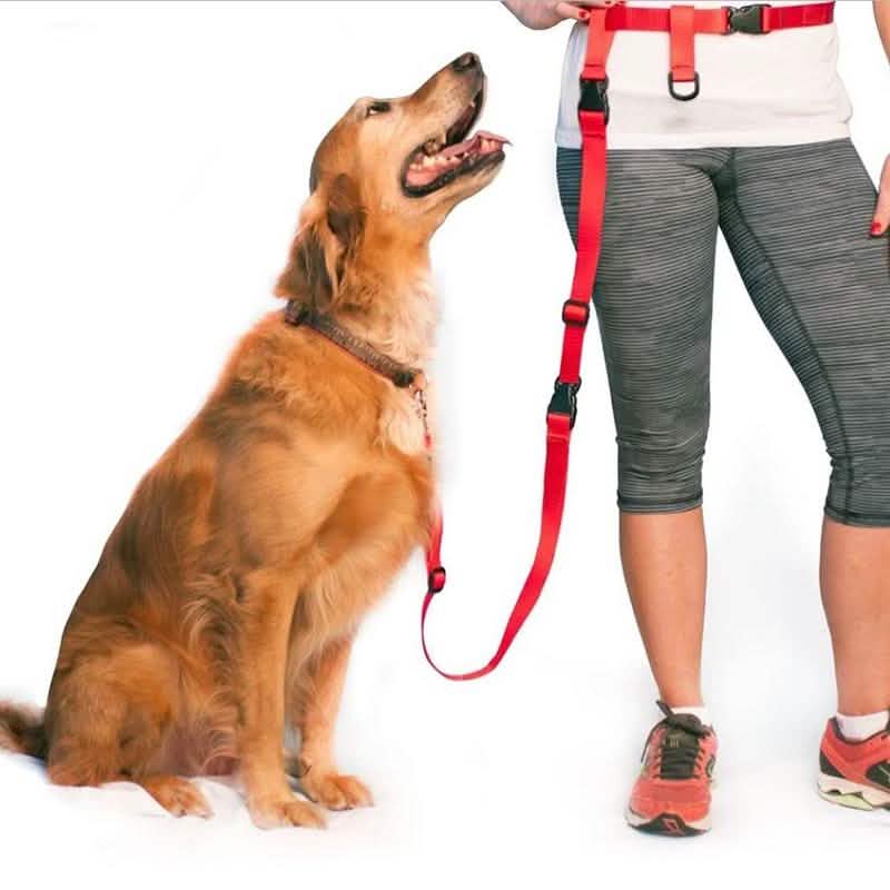 The Buddy System Verstellbare Hundeleine für freihändiges Führen