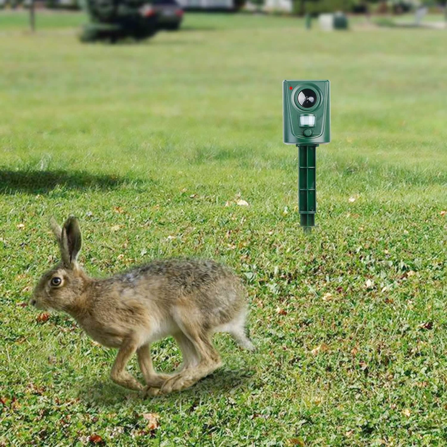 Ultraschall-Tierabwehr IP4 Wasserdicht Bewegungssensor Repellent mit blinkendem LED-Licht