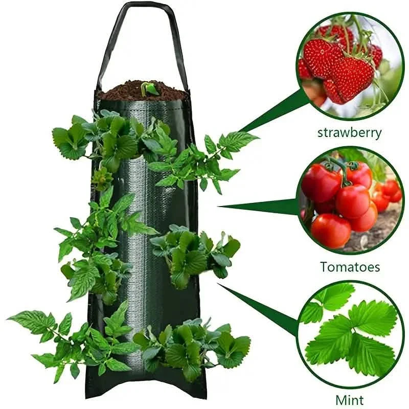 Pflanzsack für Tomaten (kopfüber)
