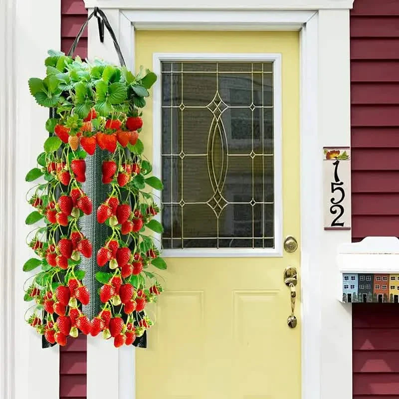 Pflanzsack für Tomaten (kopfüber)