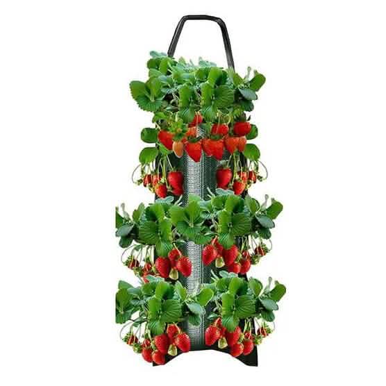 Pflanzsack für Tomaten (kopfüber)