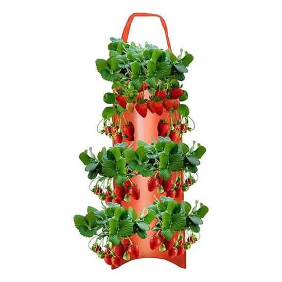 Pflanzsack für Tomaten (kopfüber)