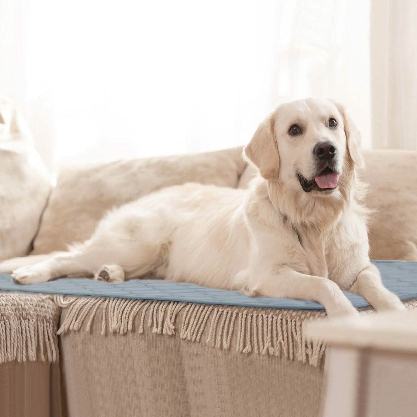 Waschbares Hundeurin-Pad Wiederverwendbare Welpen-Toiletten-Trainingsunterlagen
