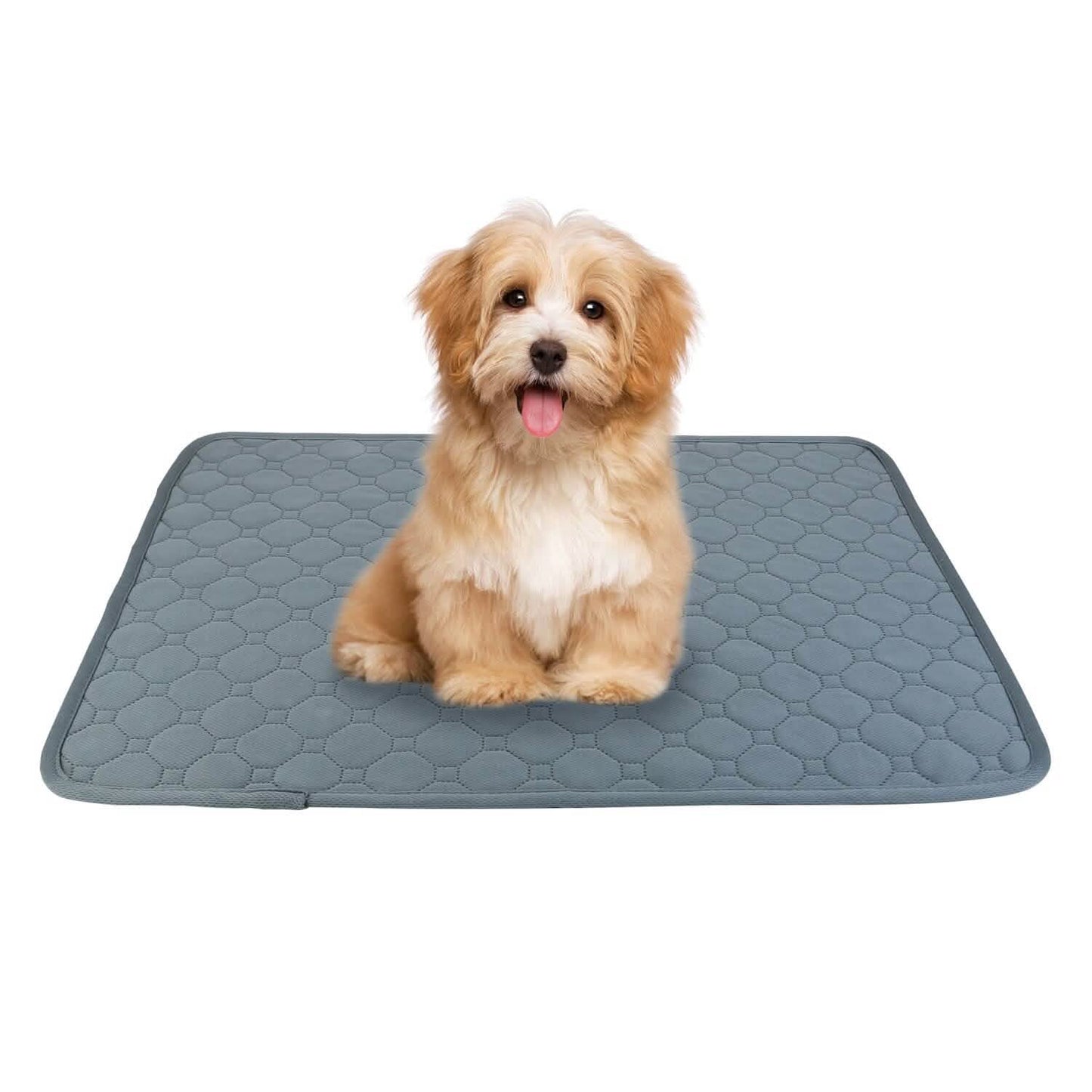 Waschbares Hundeurin-Pad Wiederverwendbare Welpen-Toiletten-Trainingsunterlagen