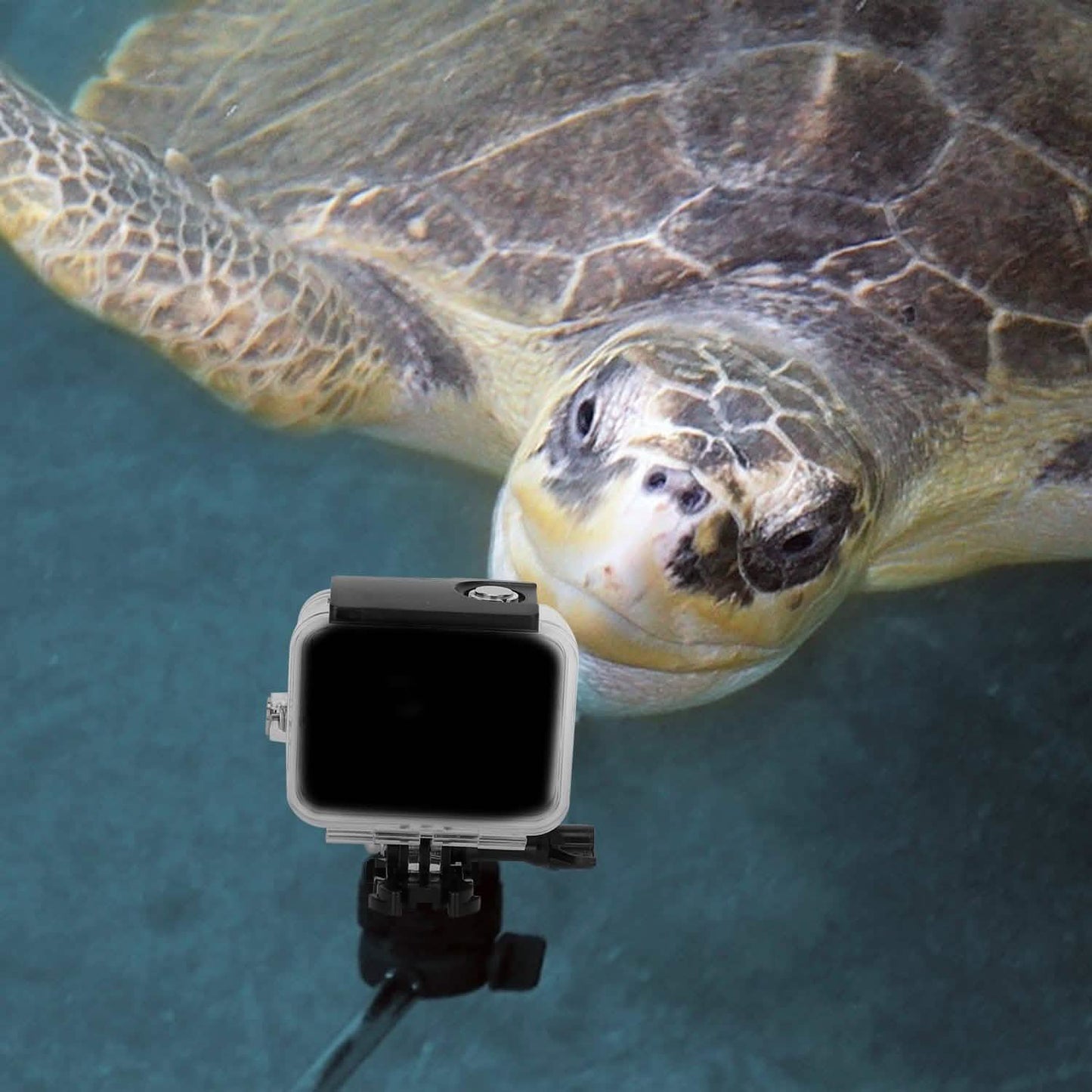 Wasserdichtes Gehäuse passend für GoPro Hero 8